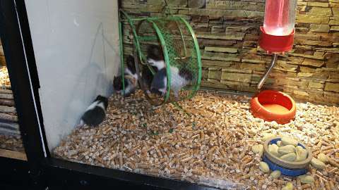 Animalerie Boutique d'Animaux Drummond